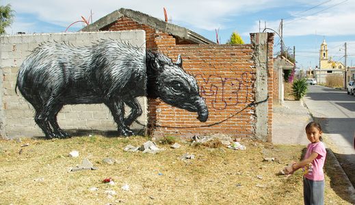  roa mexico