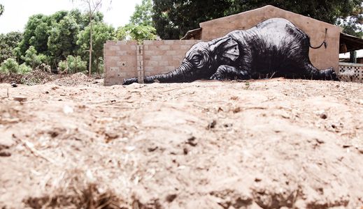  roa gambia elephant various