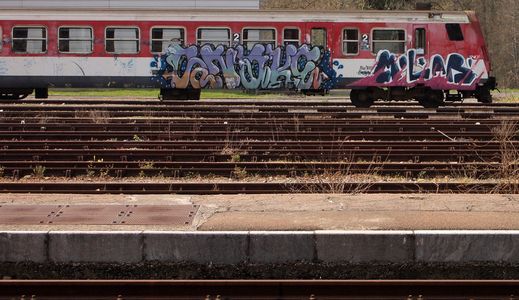  snake- molar train-bordeaux