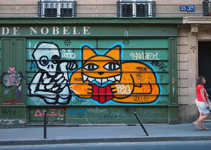  mygalo mrchat shutters paris