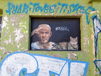 marseille cat