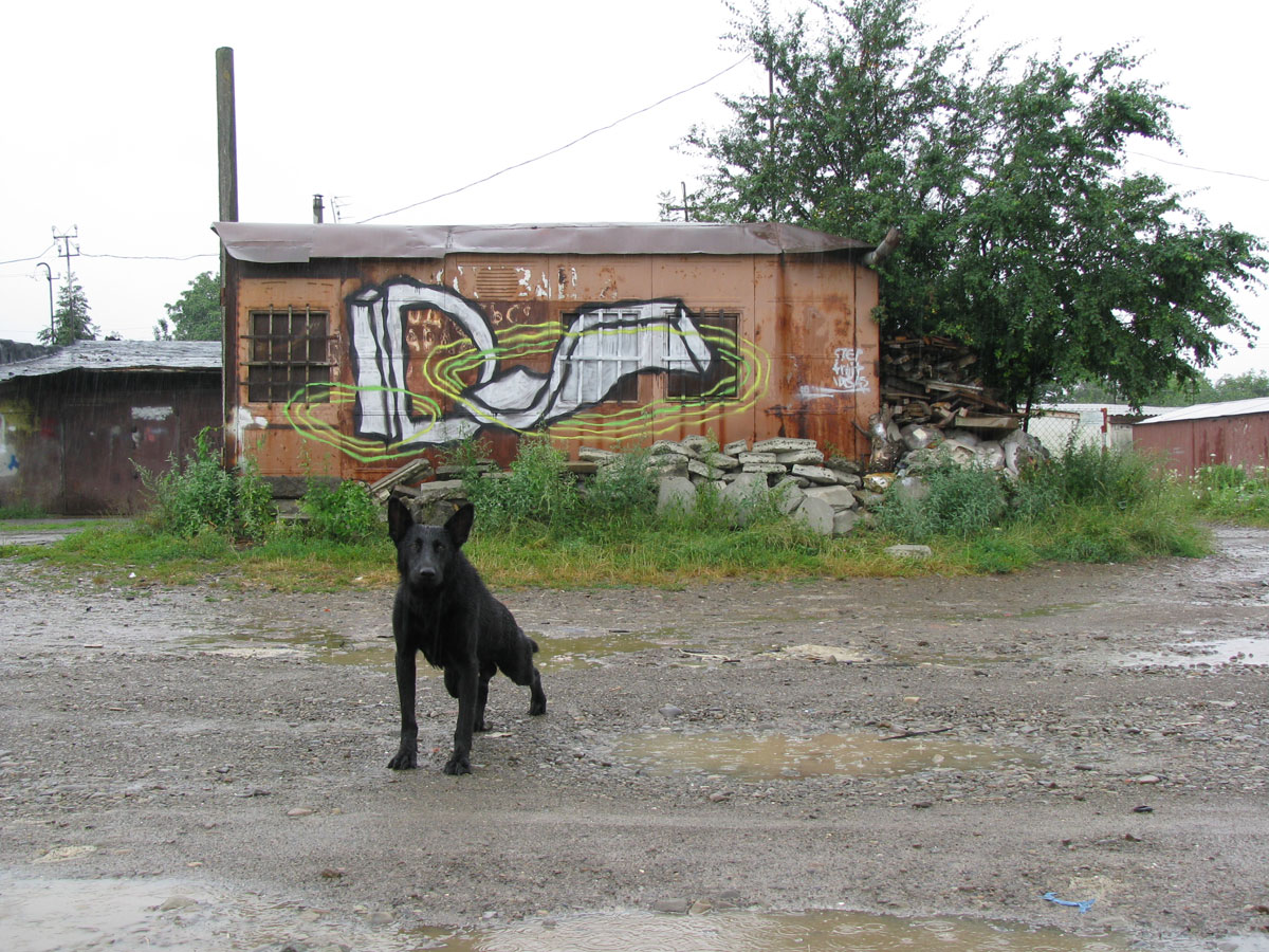  ids fruit step dog lviv ukraine
