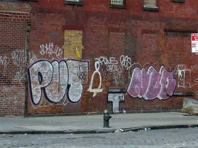  put neo redbricks nyc