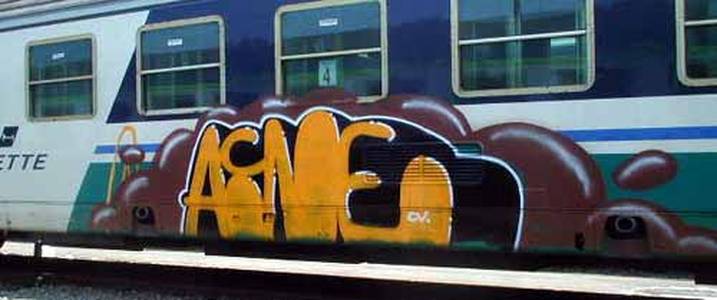  acne cvcrew train-italy