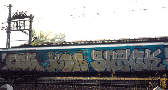  gabe eko snake akrew train-bordeaux