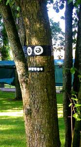  ninjatree jeanspezial troyes tree france