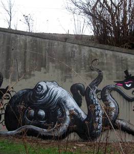  roa octopus belgium