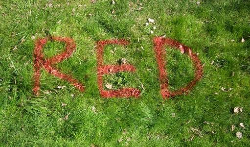  elfo floor green red colors grass italy