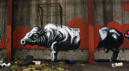  roa belgium