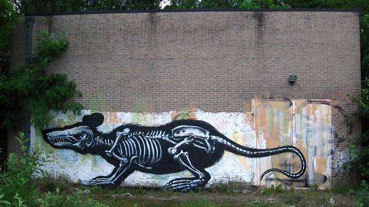  roa rat belgium