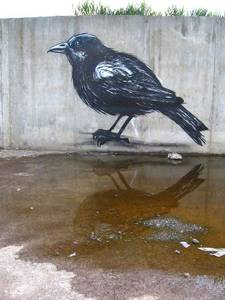  roa bird barcelona