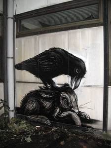  roa bird rabbit belgium