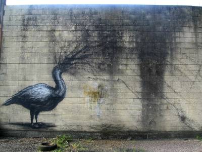  roa bird belgium