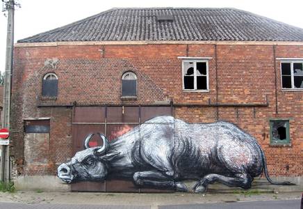  roa doel toro belgium