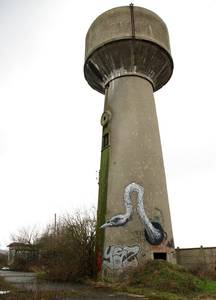  roa bird paris