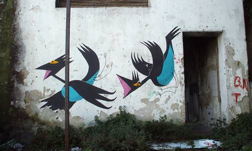  arp bird napoli italy