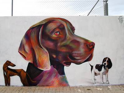  pichi avo dog valencia spain