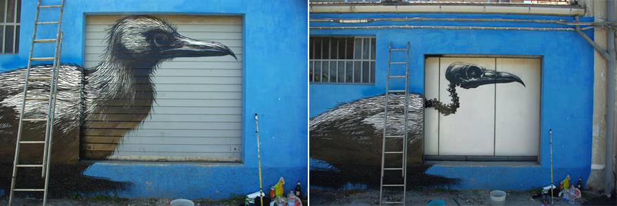  roa bird ancona italy