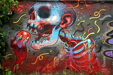  aryz skull barcelona mv1010