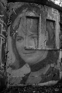  sten lex portrait roma italy