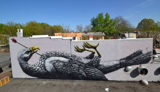  roa bird big richmond virginia usa north-america