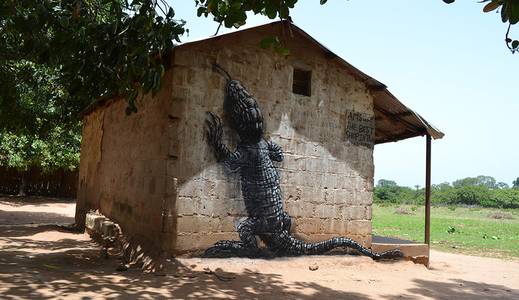  roa gambia africa