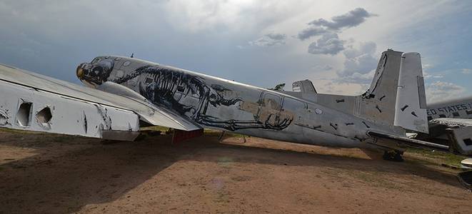  roa plane north-america