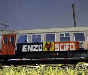 train france renz scifo