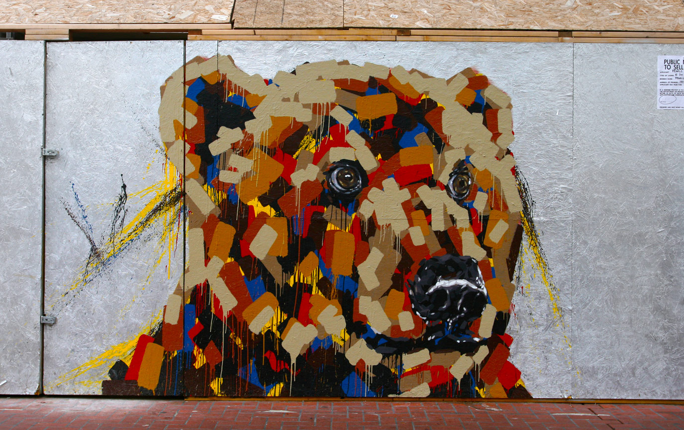 Street Art Graffiti Bear – Arte Attic