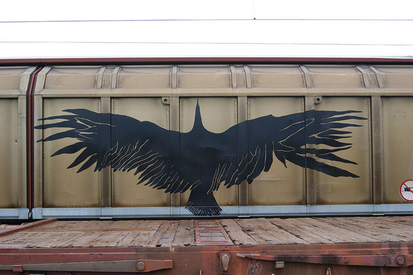 aris | freight | black | bird | europe 