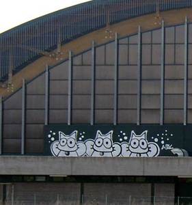  sqon roof italy cat