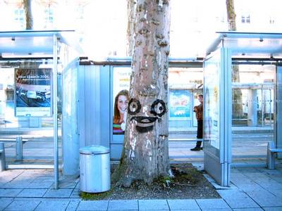  bue tree belgium contextual-face