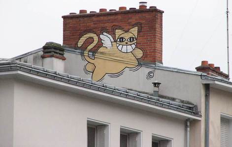  mrchat orleans rooftop cat france