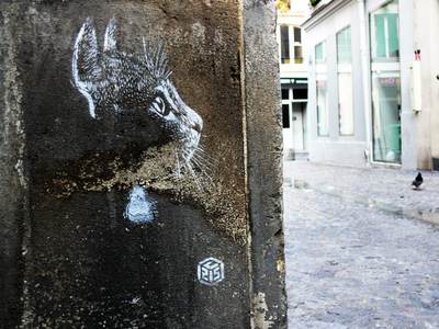  c215 cat stencil paris