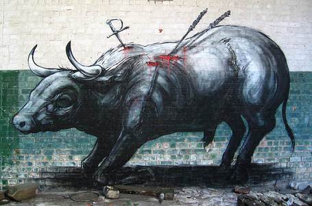  roa toro belgium