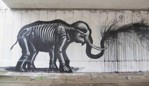  roa elephant drips black belgium