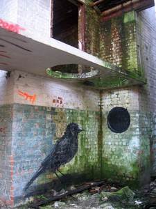  roa bird belgium