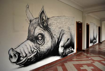  roa pig bruxelles belgium