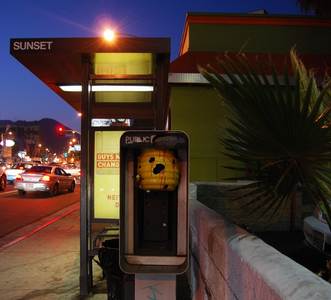  bumblebee night california