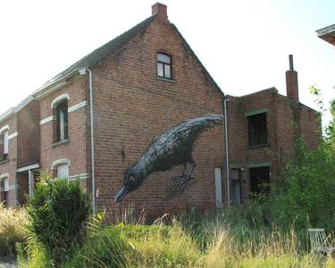  roa bird doel belgium