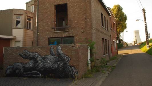  roa rabbit doel belgium