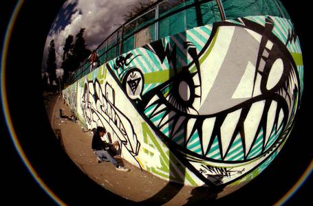  stope stinkfish process bogota colombia south-america
