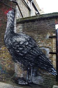  roa bird london ukingdom