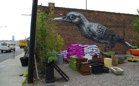  roa bird nyc