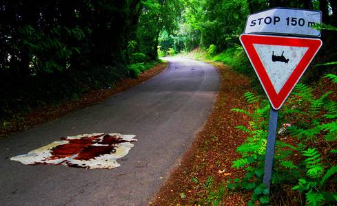  elfo roadsign italy