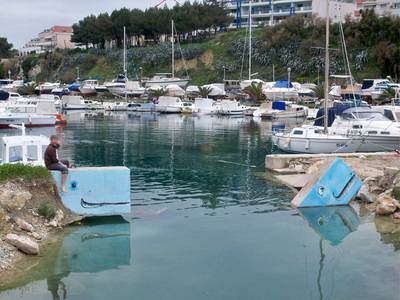  apash 3-d split whale croatia balkans