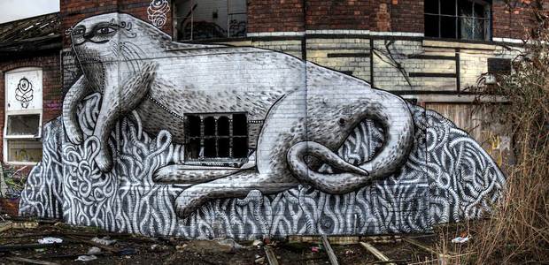  phlegm cat ukingdom