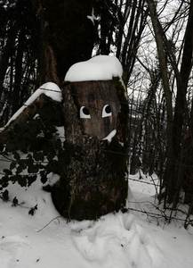  zorb jura snow contextual-face france