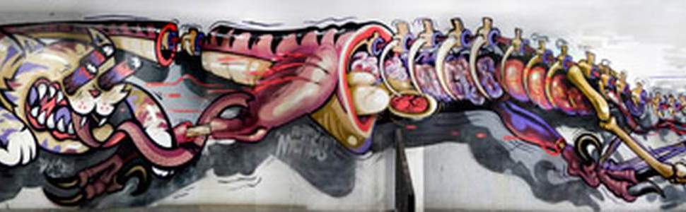  rookie dxtr nychos germany