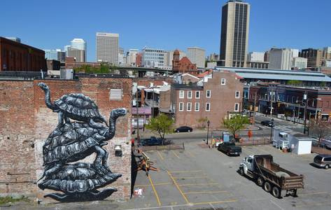  roa turtle richmond virginia usa north-america